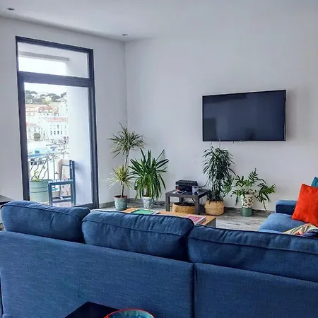 L'alegria - Vaste De Standing Proche Collioure Apartment Port Vendres